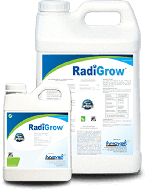 Radrigrow